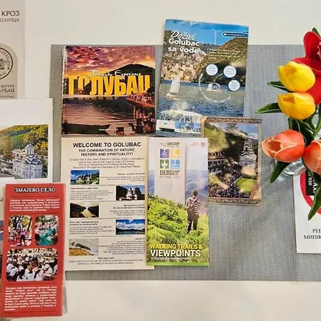 Apartament Golubica Golubac